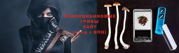 не бодяженный Гусев