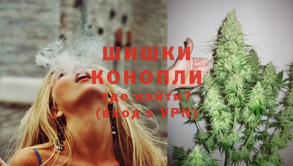 мяу мяу кристалл Гусь-Хрустальный