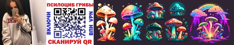 Галлюциногенные грибы Psilocybe  хочу   Данков 